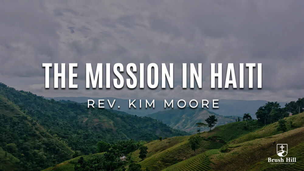 The Mission in Haiti Image
