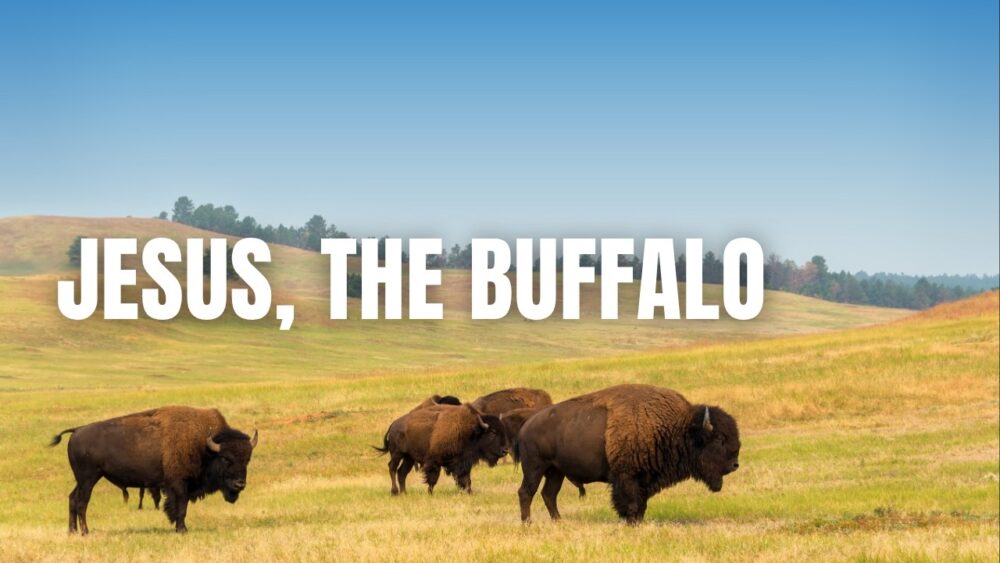 Jesus, the Buffalo Image